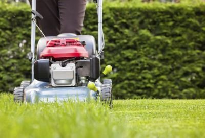 Lawn Care and Mowing