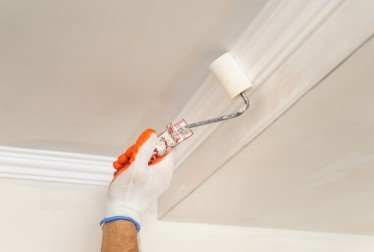 Wall & Ceiling Painting